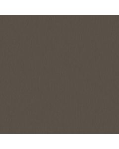 Melamine Faced Chipboard Coppersmith 16mm 6’X8’